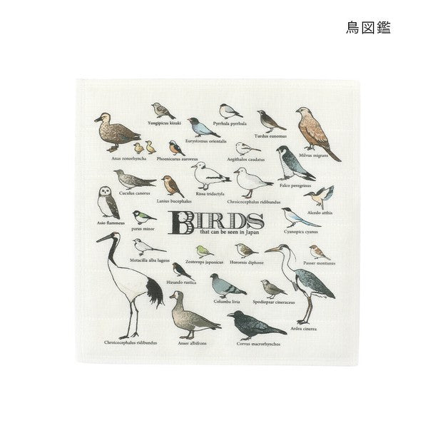 日本製 可愛動物圖鑑系列抹布 貓/狗/鳥 | 廚房抹布 方巾 家事布