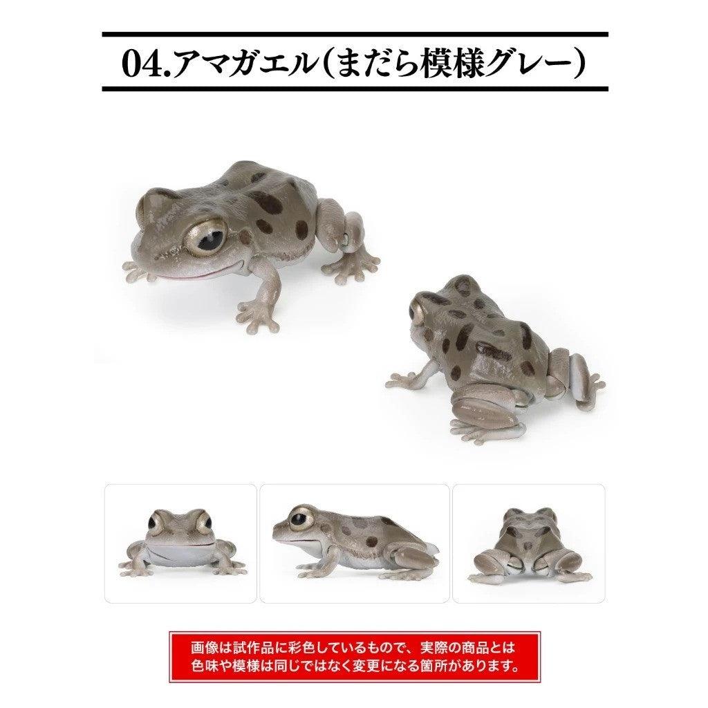 日本 BANDAI 萬代 生物大圖鑑日本雨蛙 扭蛋