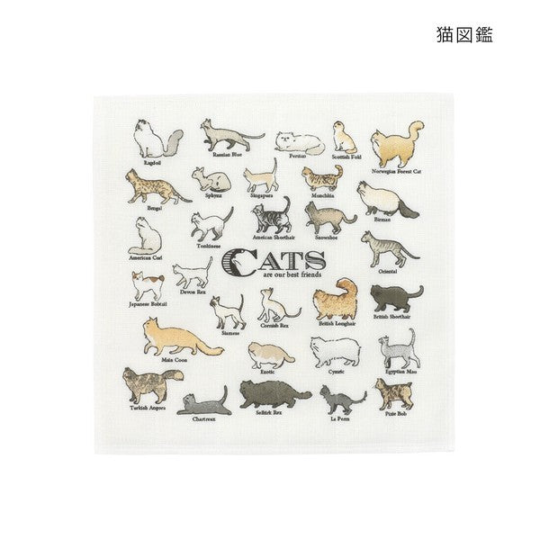 日本製 可愛動物圖鑑系列抹布 貓/狗/鳥 | 廚房抹布 方巾 家事布