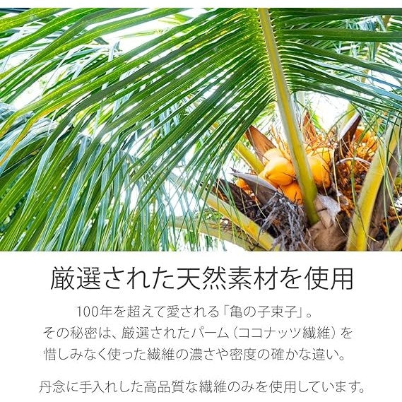 日本製 龜之子百年棕刷 | 不傷鍋具 天然菜瓜布 鐵鍋刷 硬毛刷 棕梠刷