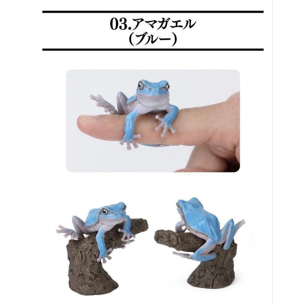 日本 BANDAI 萬代 生物大圖鑑日本雨蛙 扭蛋