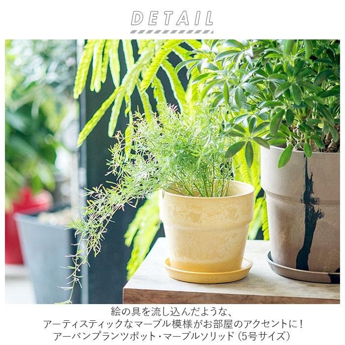 日本 posh living 再生環保花盆 3吋 4吋 5吋 | 多肉盆栽 城市花盆系列