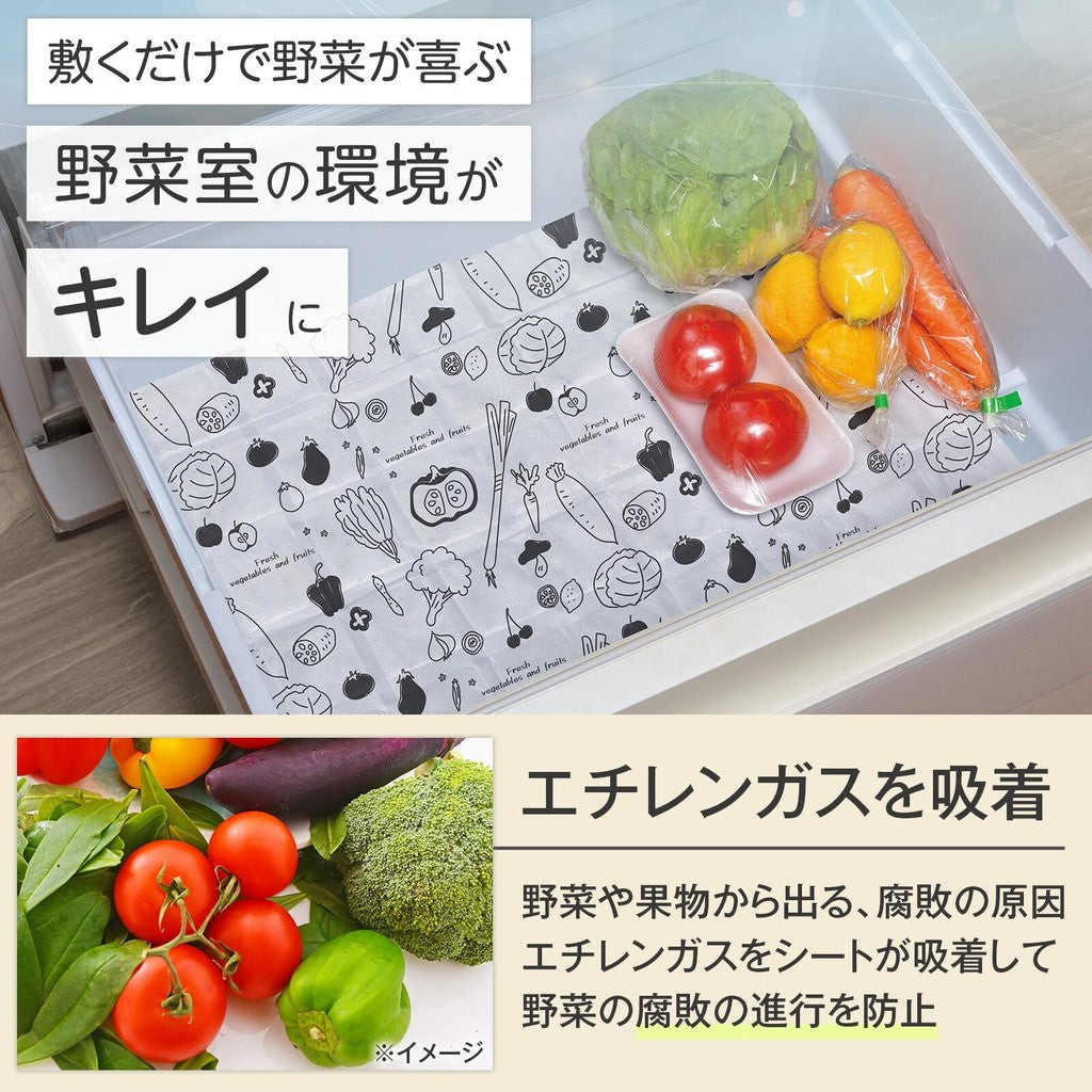 日本製 冰箱蔬果室 防潮吸濕墊 2入︱ 除臭 延長食物保鮮 防污漬 活性碳