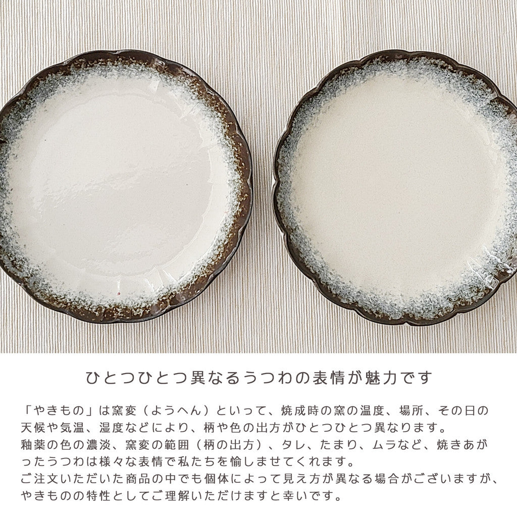 日本製 美濃燒 釉彩陶瓷盤∣深盤 淺盤 飯碗