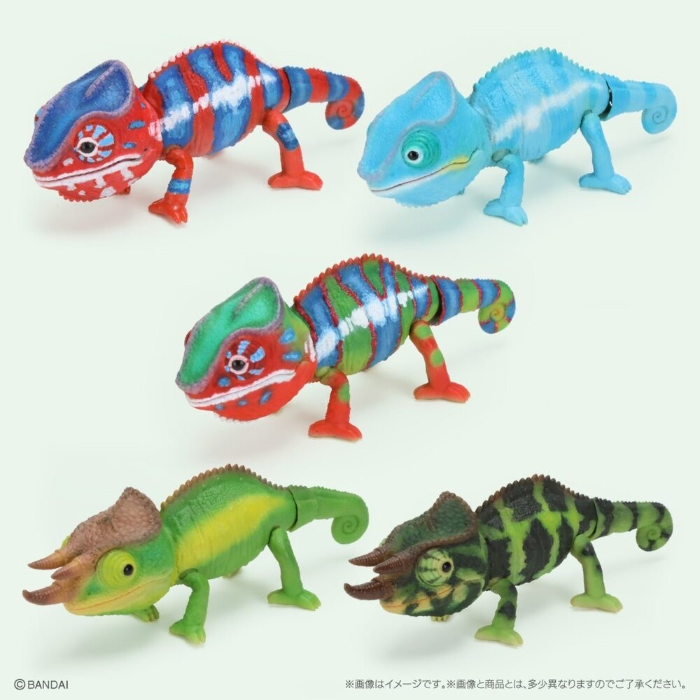 日本 生物大圖鑑 變色龍 扭蛋 動物模型 爬蟲公仔 可動模型