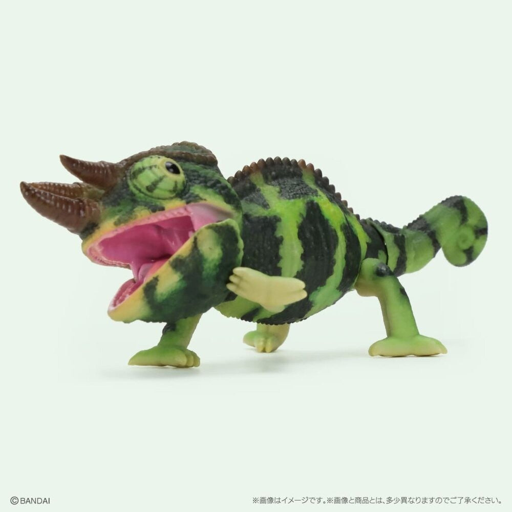 日本 生物大圖鑑 變色龍 扭蛋 動物模型 爬蟲公仔 可動模型