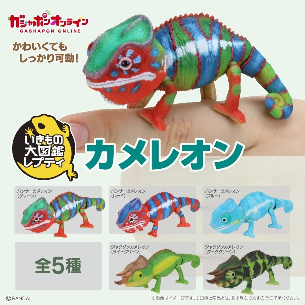 日本 生物大圖鑑 變色龍 扭蛋 動物模型 爬蟲公仔 可動模型