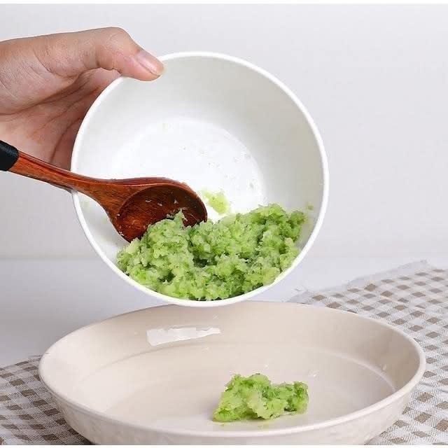 日本製 SANADA 帶手柄磨泥器 附蓋 | 雙面磨蒜泥 可直接冷藏 蒜泥保鮮盒 山藥磨泥