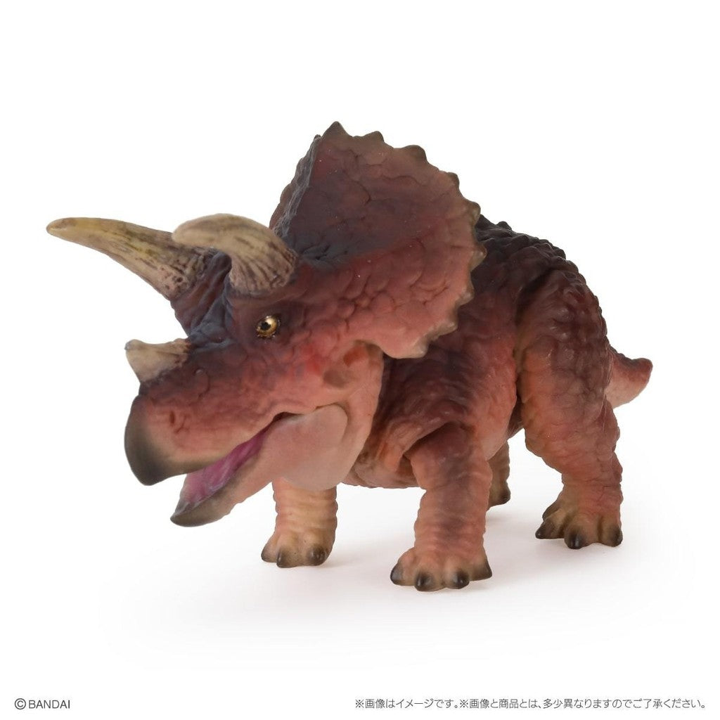 日本 BANDAI 萬代 生物大圖鑑 恐龍P2 扭蛋 公仔 模型 棘龍 暴龍 三角龍 恐龍公仔 轉蛋