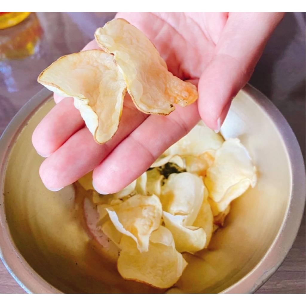 日本製 AKEBONO曙產業 洋芋片/蔬果片微波盒 | 附刨絲器 非油炸洋芋片 健康零食 DIY薯片機