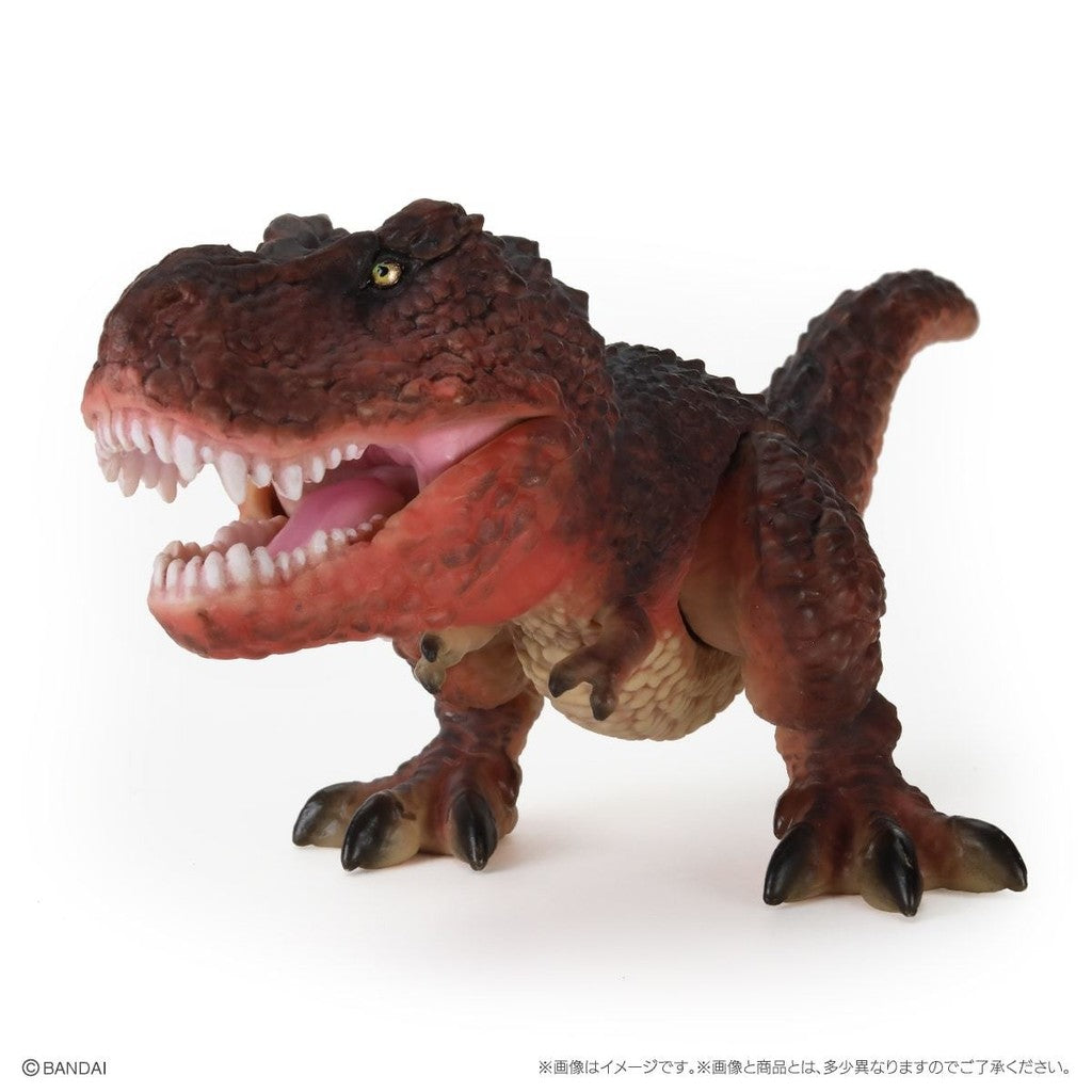 日本 BANDAI 萬代 生物大圖鑑 恐龍P2 扭蛋 公仔 模型 棘龍 暴龍 三角龍 恐龍公仔 轉蛋