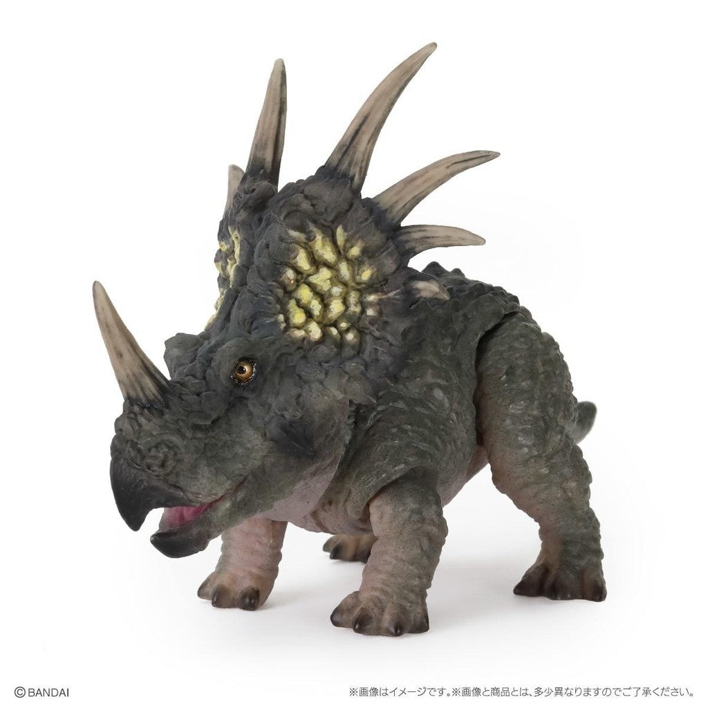 日本 BANDAI 萬代 生物大圖鑑 恐龍P2 扭蛋 公仔 模型 棘龍 暴龍 三角龍 恐龍公仔 轉蛋