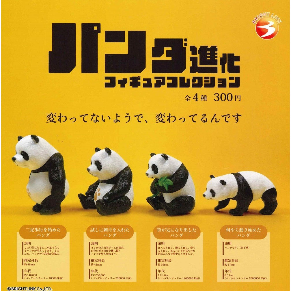 日本 BRIGHT LINK 熊貓進化公仔 扭蛋 轉蛋 模型 熊貓公仔 動物公仔 貓熊 PANDA