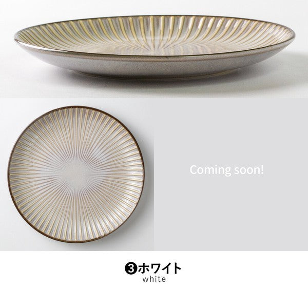 日本製 窯變 SENDAN 淺盤 21cm | 平盤 陶瓷盤 義大利麵盤 圓盤 美濃燒 盤子