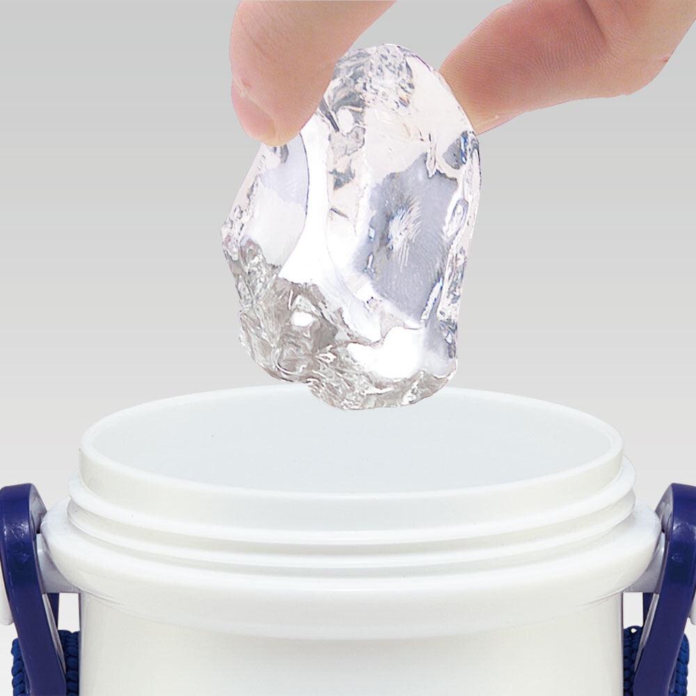 SKATER 哆啦A夢水壺 | 480ml 直飲式水壺 - 富士通販