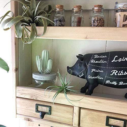 日本 DULTON 仙人掌香氛|擴香瓶 擴香石