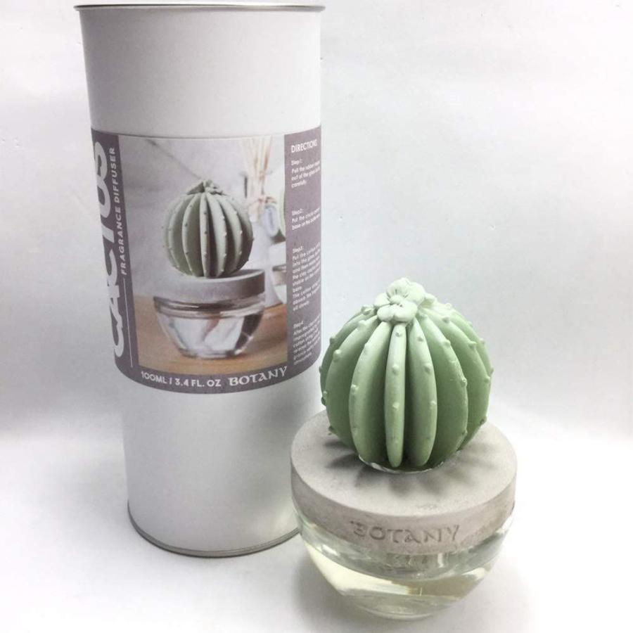 日本 DULTON 仙人掌香氛|擴香瓶 擴香石