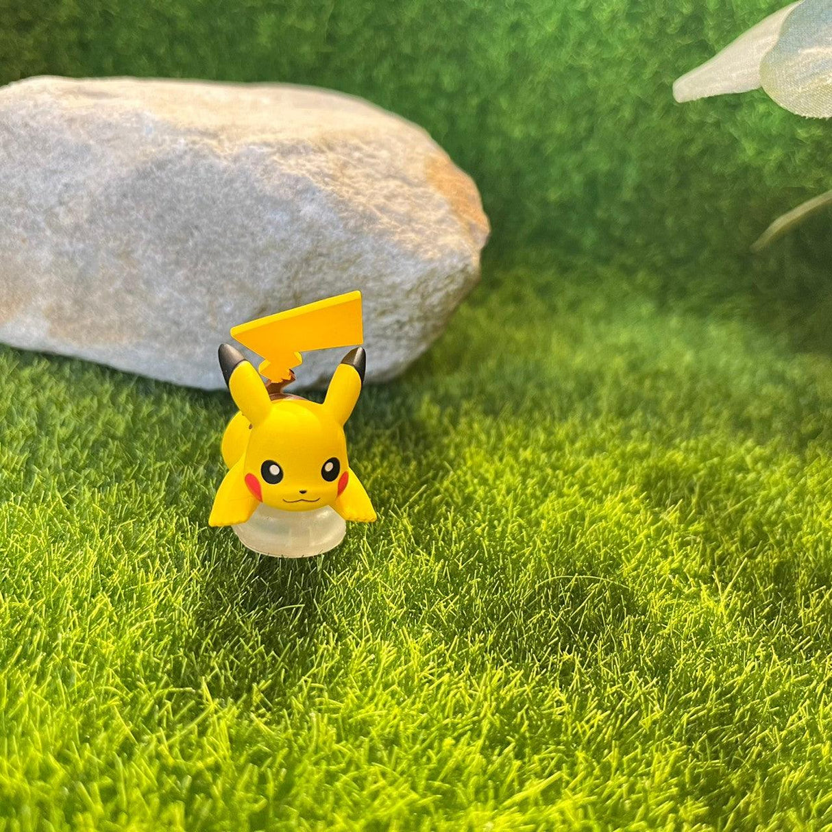 日本 T-ARTS 扭蛋 精靈寶可夢關都篇|皮卡丘 噴火龍 伊布 妙蛙花 水箭龜 - 富士通販