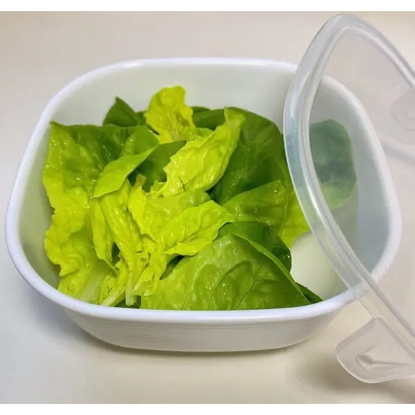 日本製 NAKAYA 微波保鮮碗︱大容量 方形 圓形 隨機顏色