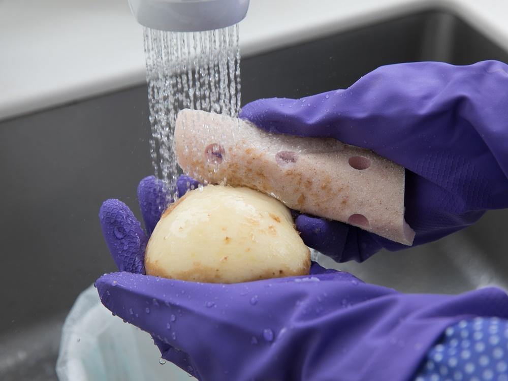 日本製 蔬菜去皮海綿 |大賀屋 蔬菜去皮 - 富士通販