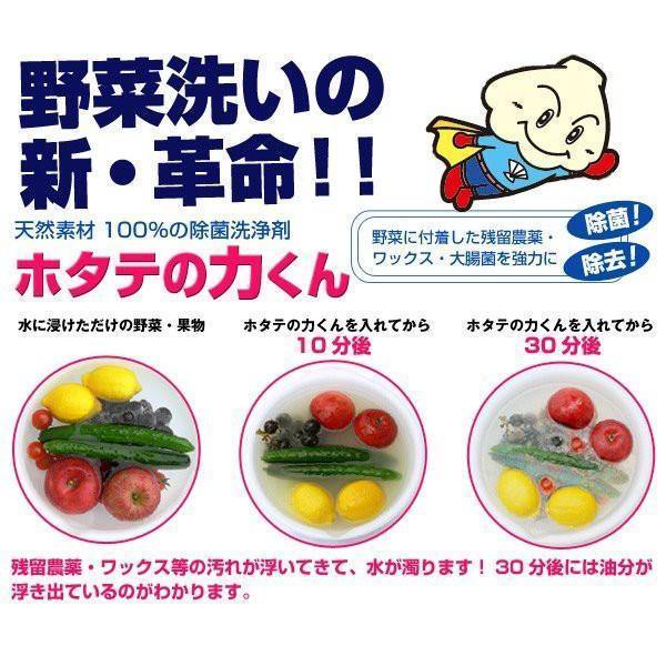 日本製 海の野菜洗 天然扇貝殼粉|萬用清潔粉|蔬果洗潔粉 - 富士通販