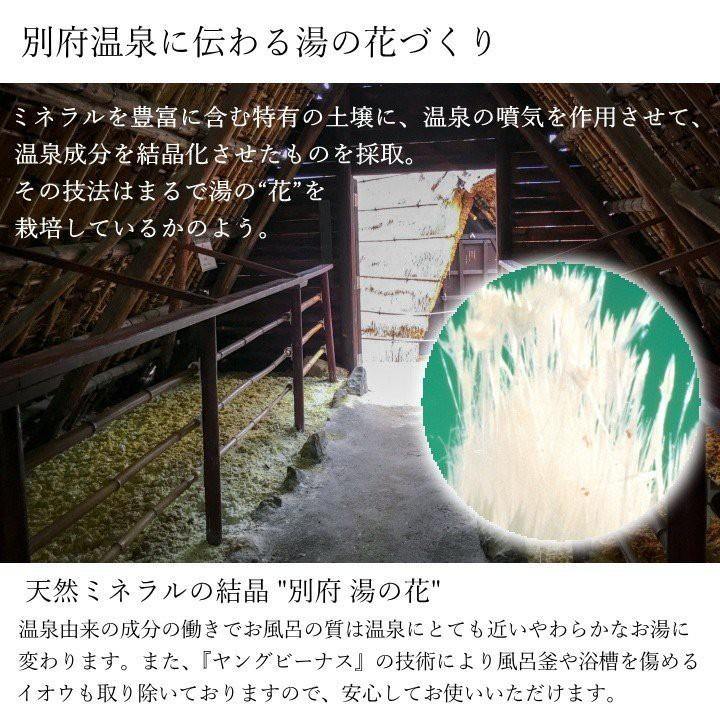 溫泉入浴劑|浴鹽-別府八湯/養命泉 - 富士通販