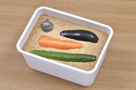 南部鐵器 角落生物 鐵玉子|日本工藝名產會溶出鐵質 - 富士通販