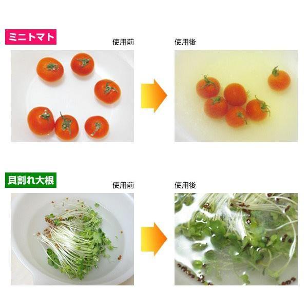 日本製 海の野菜洗 天然扇貝殼粉|萬用清潔粉|蔬果洗潔粉 - 富士通販