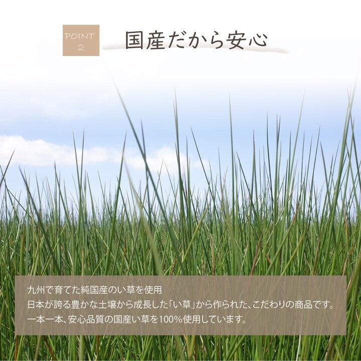 日本製池彥九州蘭草消臭捲|天然芳香、物理除臭 - 富士通販