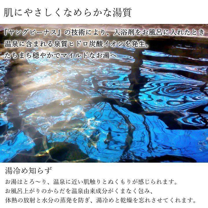 溫泉入浴劑|浴鹽-別府八湯/養命泉 - 富士通販