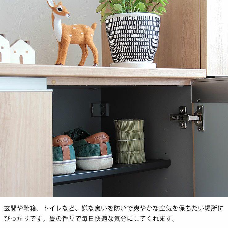 日本製池彥九州蘭草消臭捲|天然芳香、物理除臭 - 富士通販