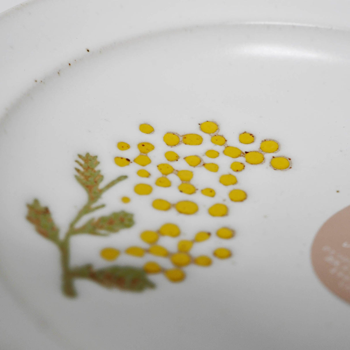 日本製 波佐見燒 黃色含羞草 下午茶餐具|茶壺 盤子 馬克杯 - 富士通販