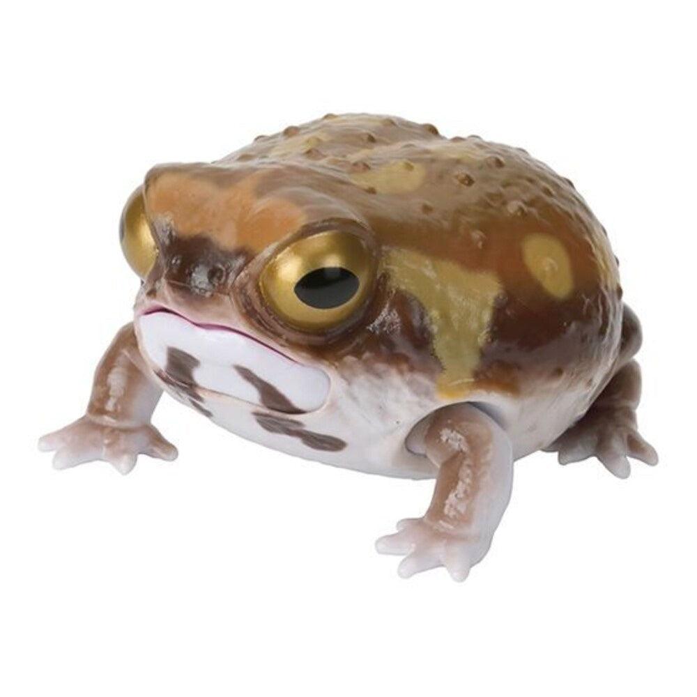 日本 Bandai 萬代 生物大圖鑑 角蛙與饅頭蛙|扭蛋 兒童教具 - 富士通販