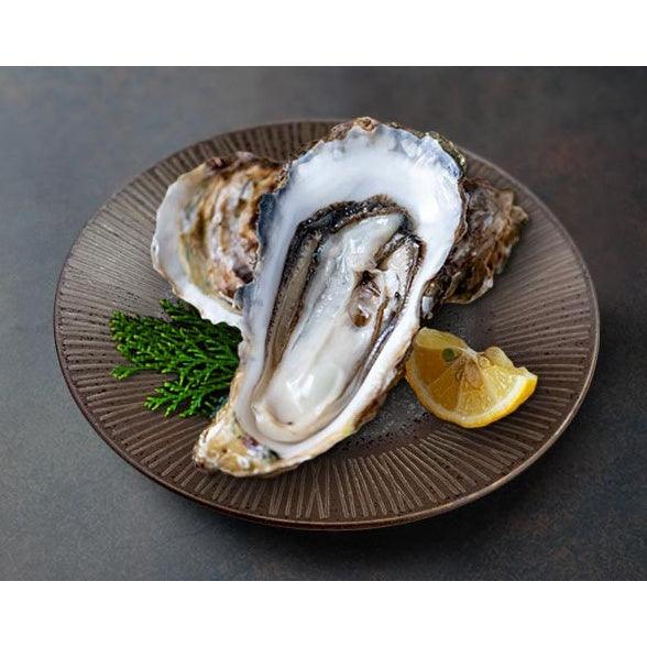 日本製 復古黑細線餐盤|沙拉 咖哩 義大利麵 生蠔 生魚片 - 富士通販