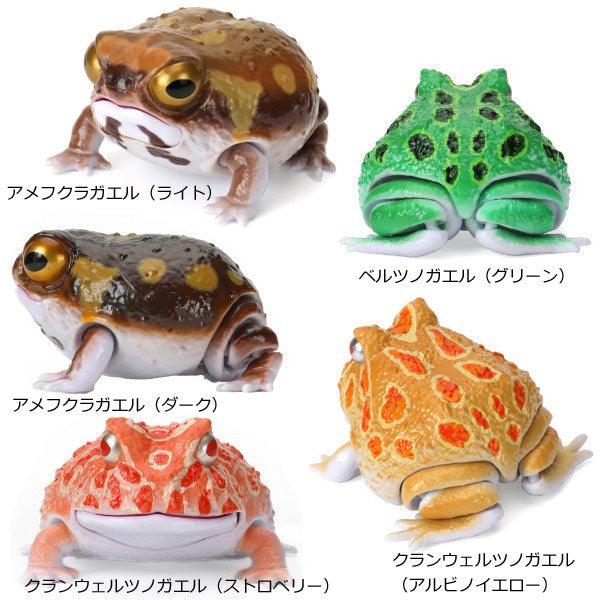 日本 Bandai 萬代 生物大圖鑑 角蛙與饅頭蛙|扭蛋 兒童教具 - 富士通販