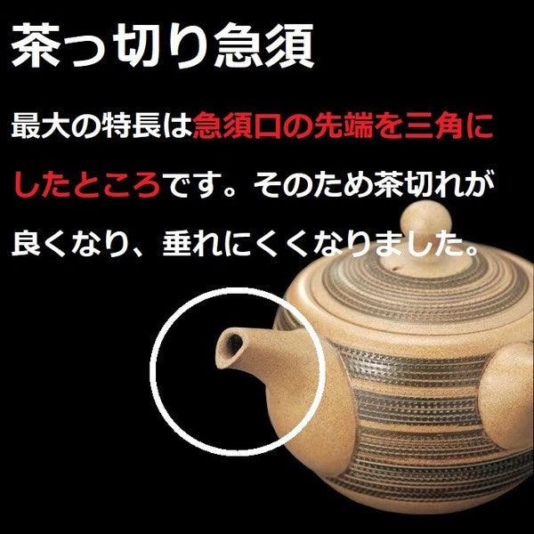 日本製 常華燒 玉光黑千段線條 側把壺|陶瓷茶壺 泡茶壺 - 富士通販