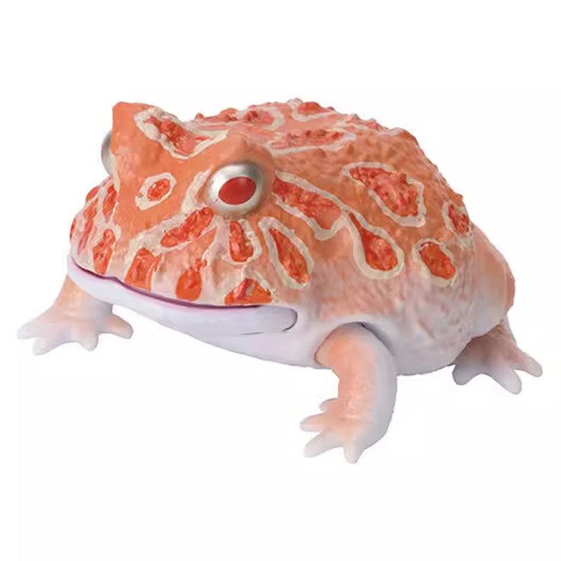 日本 Bandai 萬代 生物大圖鑑 角蛙與饅頭蛙|扭蛋 兒童教具 - 富士通販