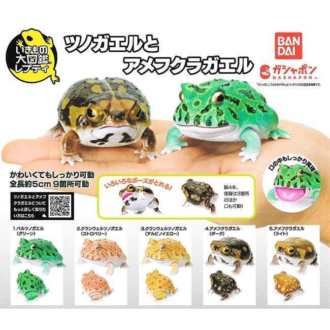 日本 Bandai 萬代 生物大圖鑑 角蛙與饅頭蛙|扭蛋 兒童教具 - 富士通販
