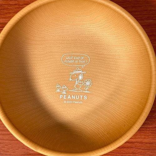 日本製 Snoopy 木紋 露營 餐盤 湯碗|兒童餐盤 - 富士通販