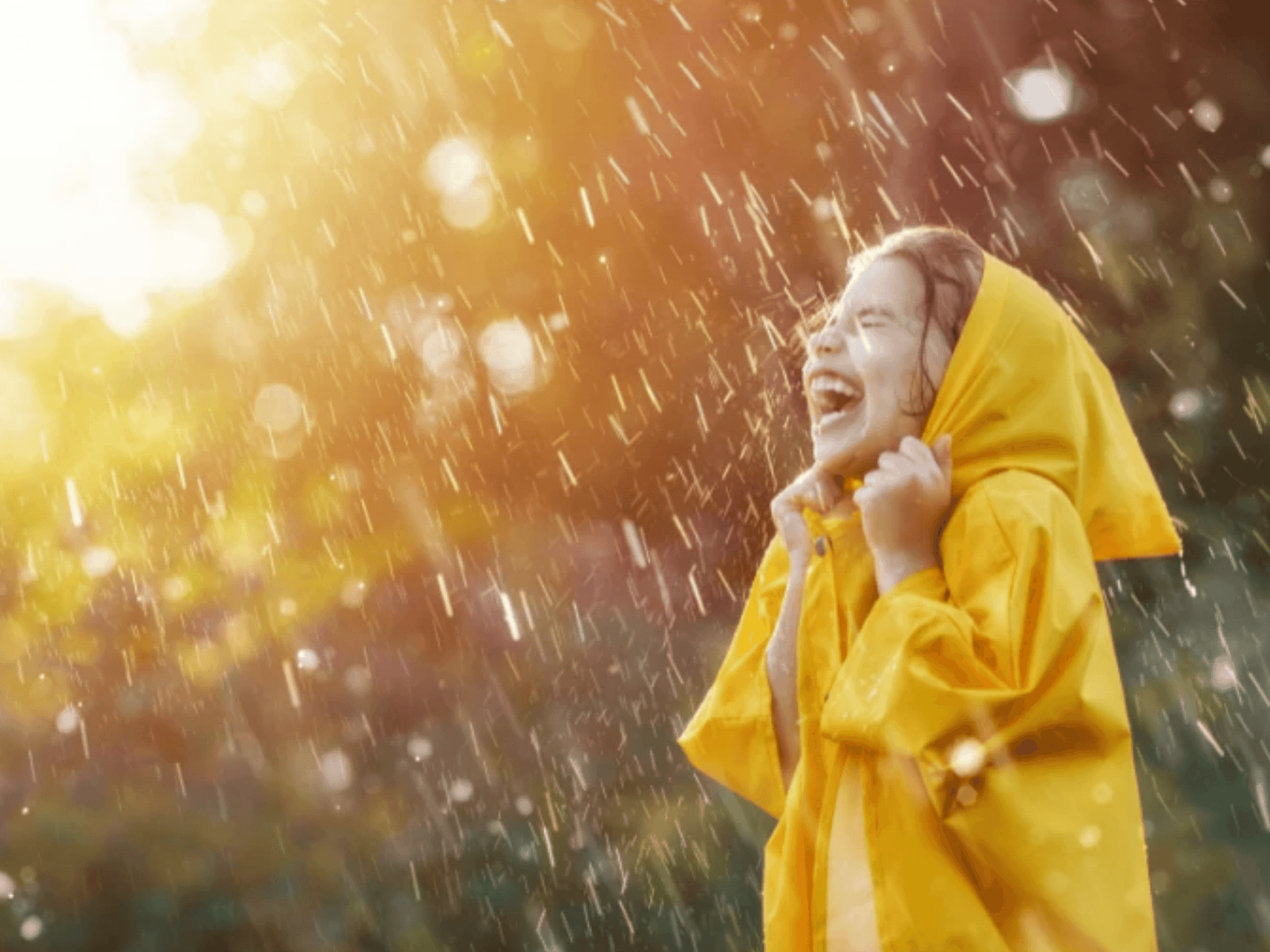 梅雨季、颱風天｜不再害怕溼答答 - 富士通販