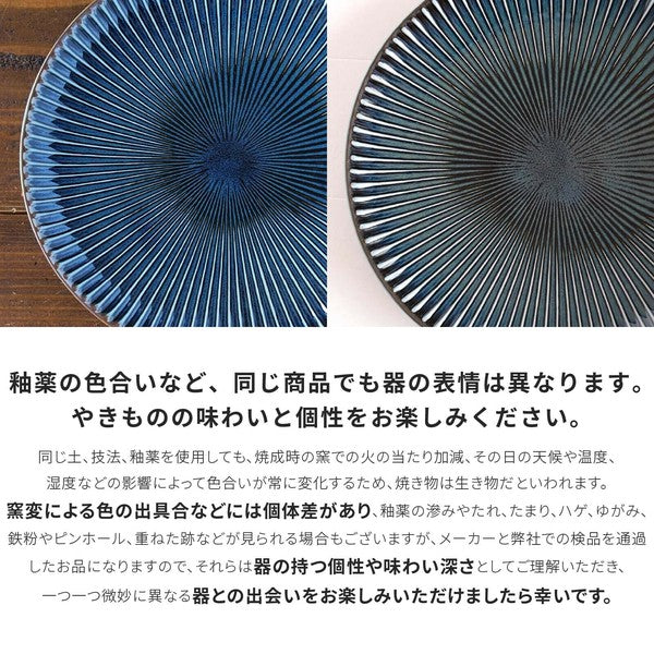 日本製 窯變 SENDAN 淺盤 21cm | 平盤 陶瓷盤 義大利麵盤 圓盤 美濃燒 盤子