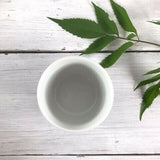 日本製 美濃燒 經典蒼十草碗盤 | 藍白線條 點心盤 飯碗 麵碗 湯碗 陶瓷碗盤