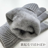 日本 觸控針織保暖手套 男女通用 | 加絨內襯 滑雪手套 防寒手套 針織手套 觸控手套 保暖手套 冬天必備