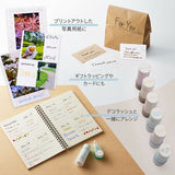 日本 PLUS 普樂士 DECO ROLL 花邊滾章 | 手帳印章 連續章 裝飾印章 滾輪章