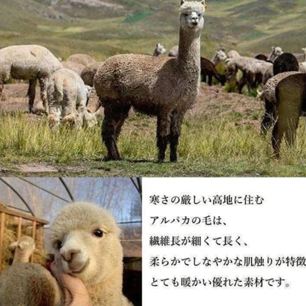 羊駝毛長腿襪∣保暖襪 小腿襪 中筒長襪 睡眠襪 親膚舒適