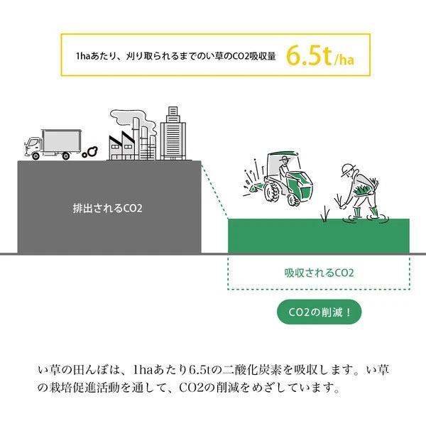 日本製 IKEHIKO 除臭除濕藺草花圈｜花環 居家裝飾 掛飾 - 富士通販