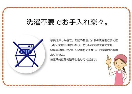 日本製 IKEHIKO 九州藺草兒童抗菌午睡涼枕 - 富士通販