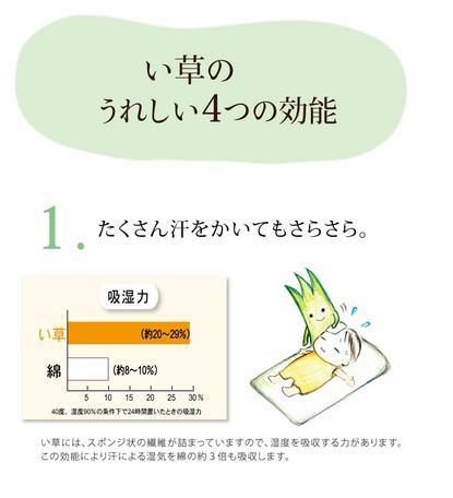 日本製 IKEHIKO 九州藺草兒童抗菌午睡涼枕 - 富士通販