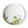Leo Lionni 李歐．李奧尼 繪本大師 美濃燒盤子｜彩繪陶器 五款可選-日本製 - 富士通販
