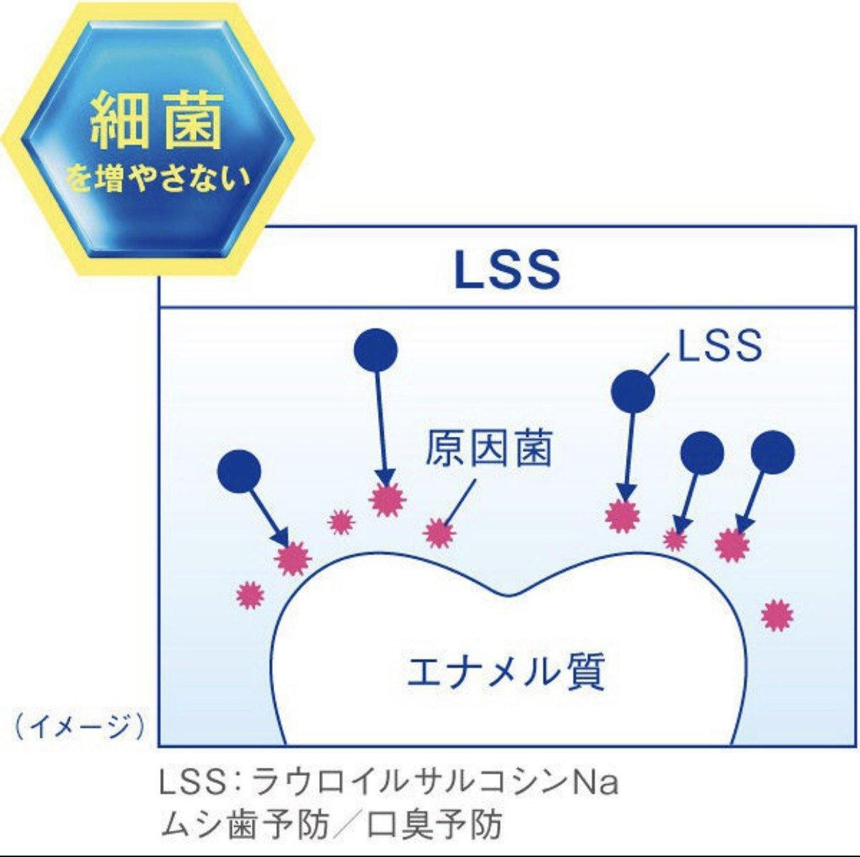 日本製獅王LION 固齒佳酵素淨護牙膏-清涼薄荷130g - 富士通販